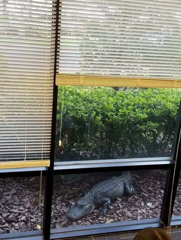 When Your Office Is In Florida
