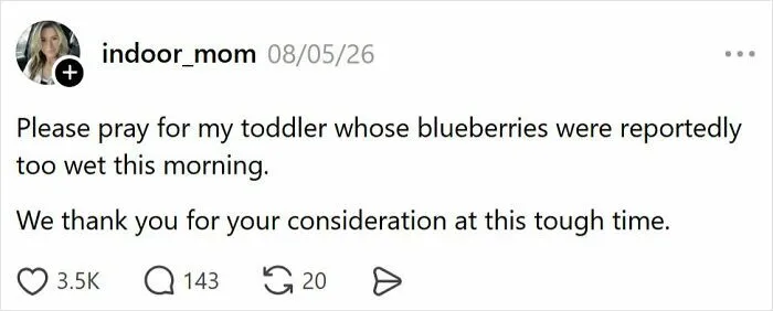 65 Times Parents Vented On Social Media But Instead Amused People Online (August Edition)
