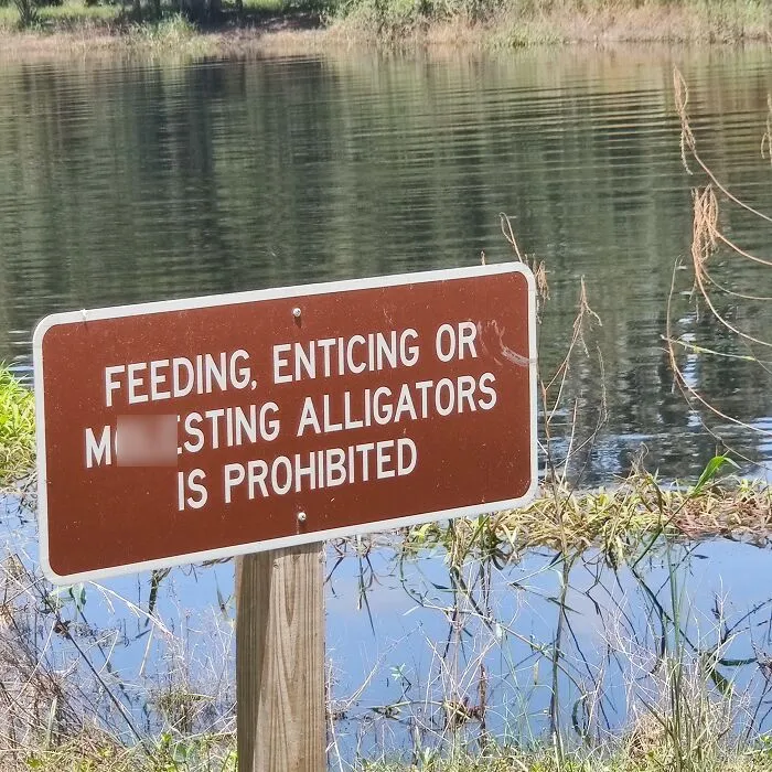 Florida Man Is Getting Braver Everyday