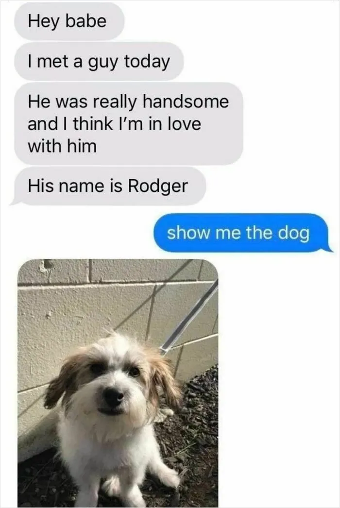 134 Memes That Make A Strong Case For Animals Being The Funniest Part Of The Internet