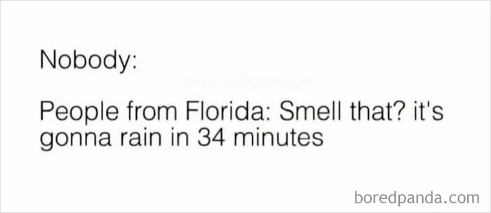 73 Unhinged Moments That Could Only Happen In Florida