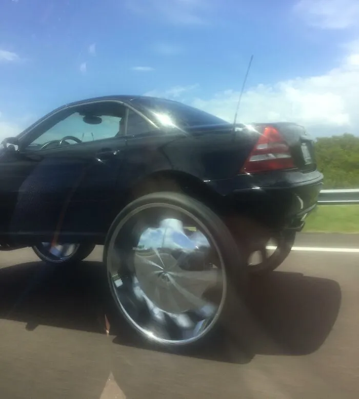 Florida Never Fails To Deliver