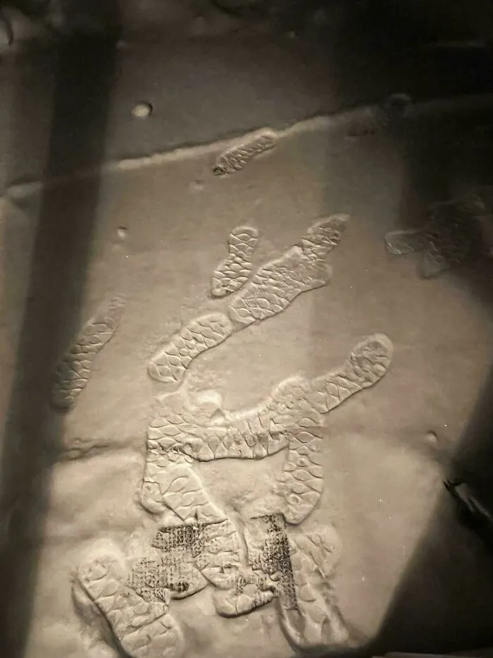 An unsettling photo showing an imprint of a hand and footprints on a dusty, textured surface.