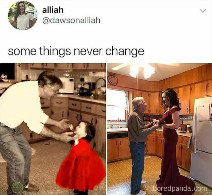 Wholesome Moment