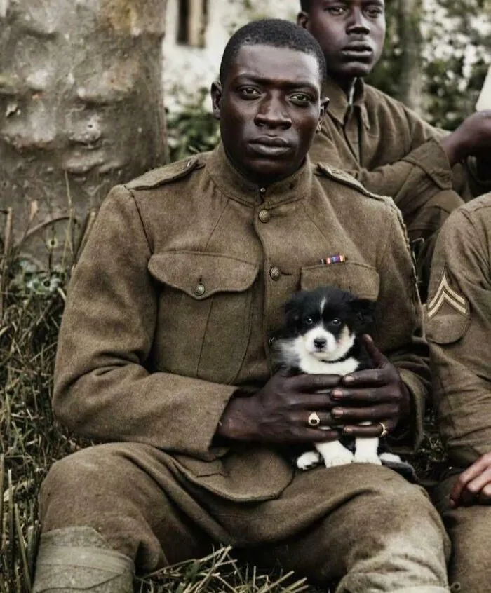 A Member Of The Harlem Hellfighters (369th Infantry Regiment) Poses For The Camera While Holding A Puppy He Saved During WWI, 1918
