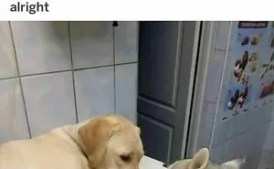 102 Wholesome Moments That Might Restore A Little Faith In Humanity