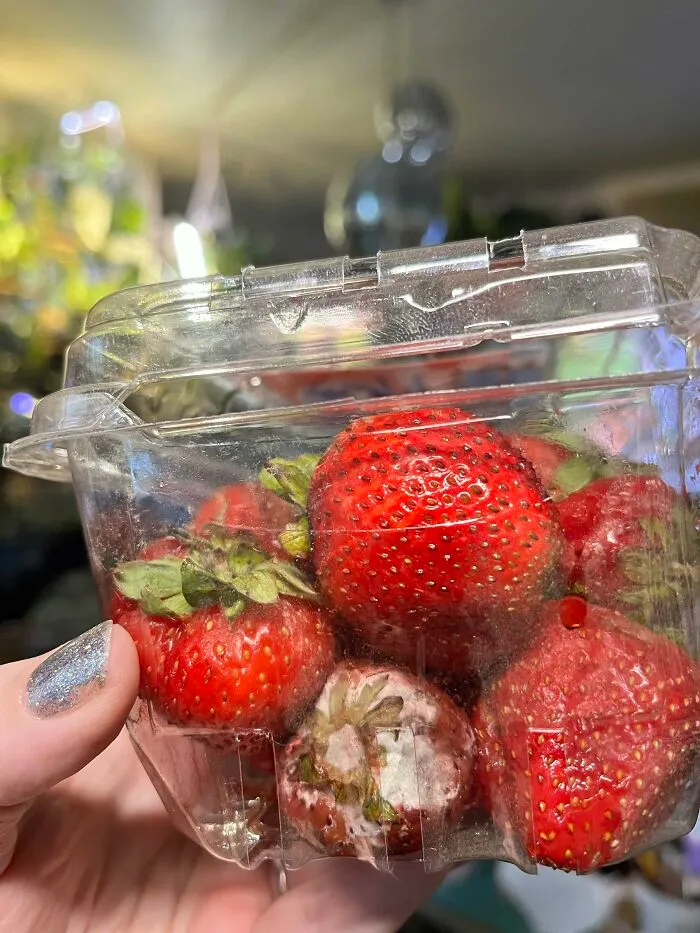 A hand holds a plastic container of strawberries, one of which is visibly moldy, showcasing questionable Instacart shopper practices.