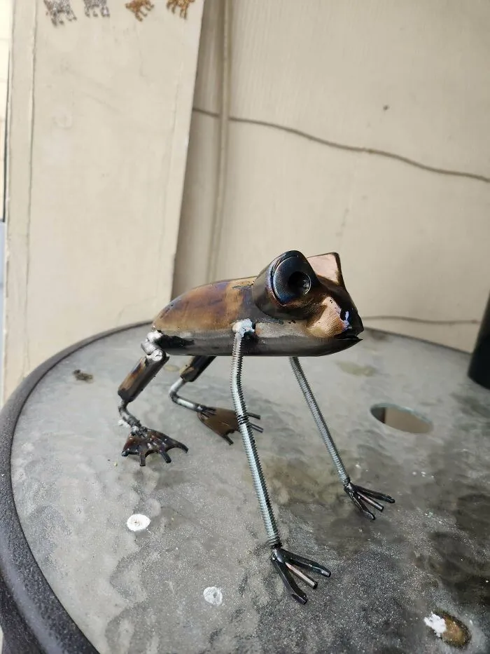 The GF Wanted A Frog So I Did My Best