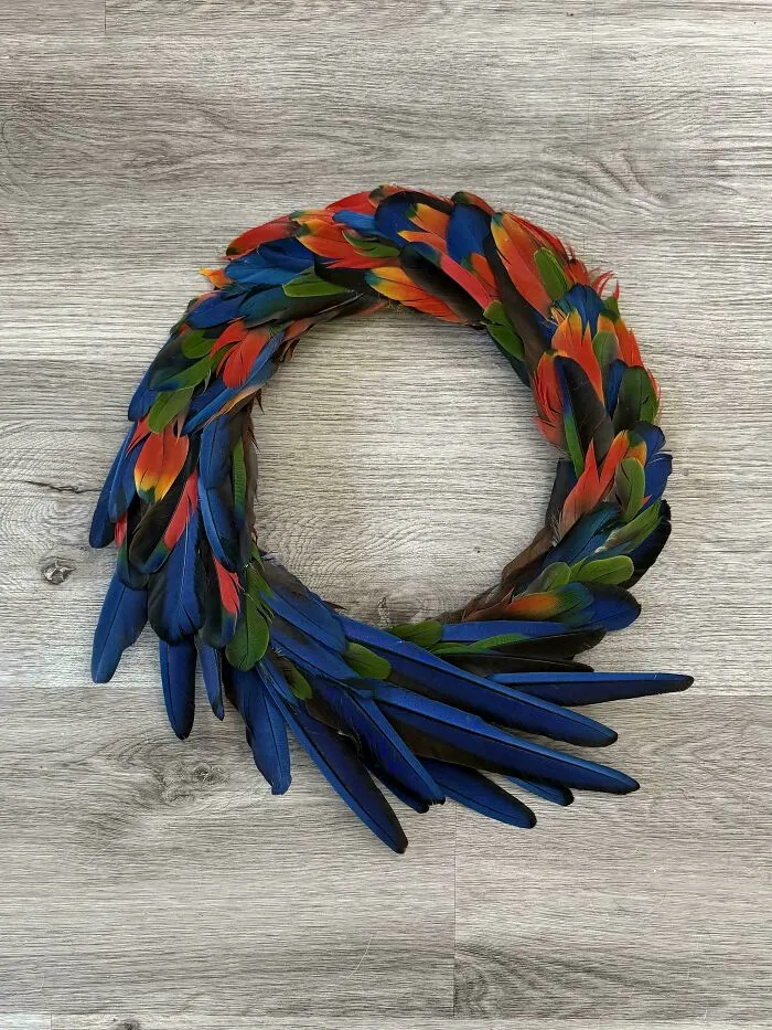 My Neighbor Gave Me Some Feathers From His Parrots So I Made This Wreath 💗