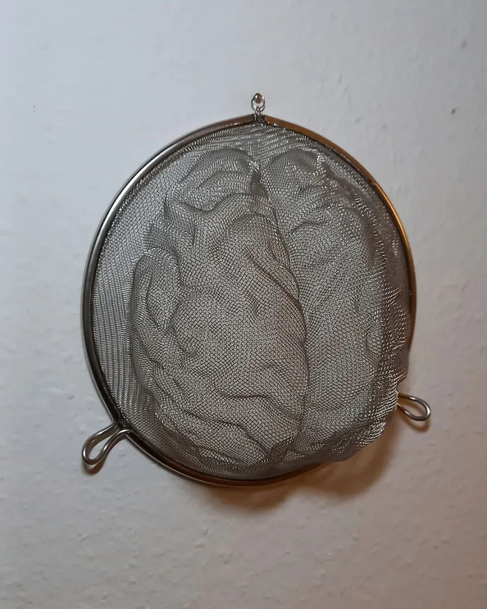 "Brain Like A Sieve", Made/Shaped From An Old Cheap Sieve