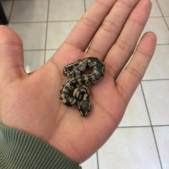 Some Snakes I Made Myself