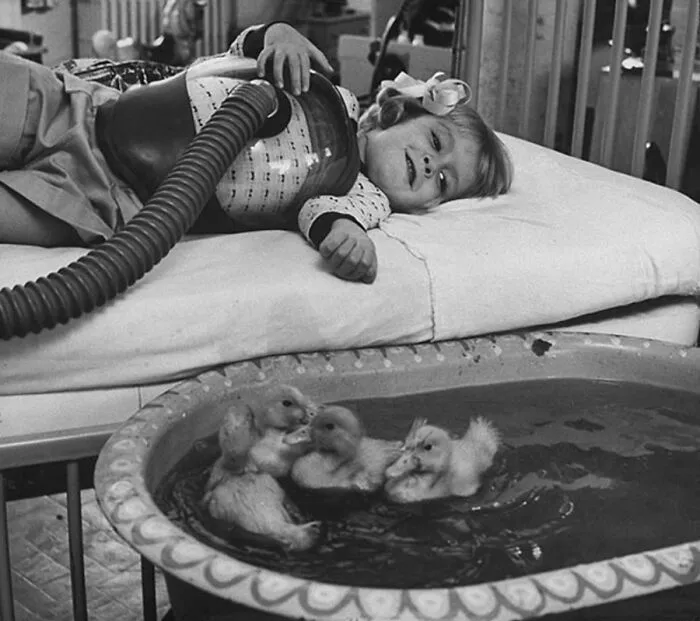 29 Historic Photos Shared By This Page Where Animals Unexpectedly Became The Stars Of The Shot