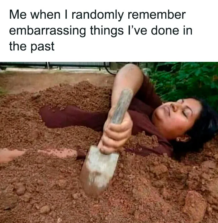 71 Funny Memes For Anyone Fluent In Sarcasm