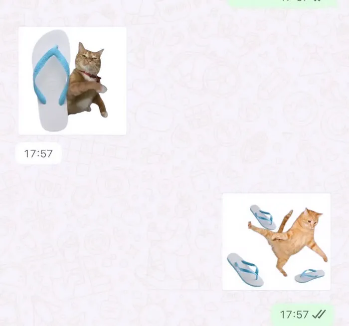 A funny cat meme illustrating an orange cat playing with flip-flops in a text message conversation.