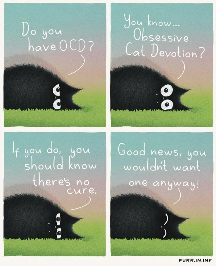 41 New Cat Illustrations By Luis Coelho That Are Cute, Clever, And Uplifting