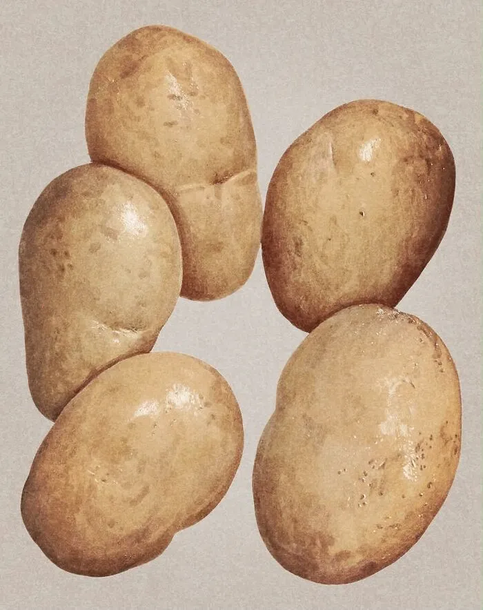 30 Food Paintings By Terawat Teankaprasith That Look Almost Real Enough To Eat