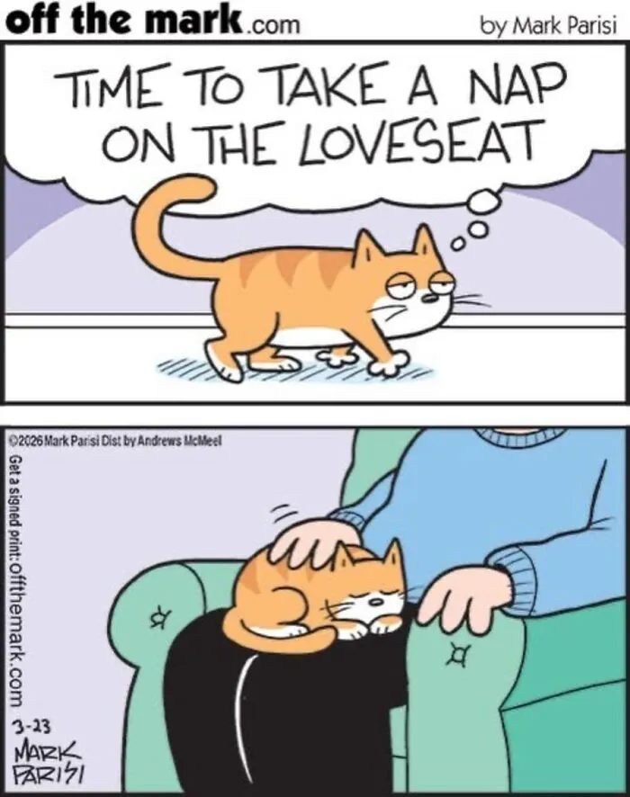 36 New Comics That Capture The Odd Little Habits Every Cat Owner Knows