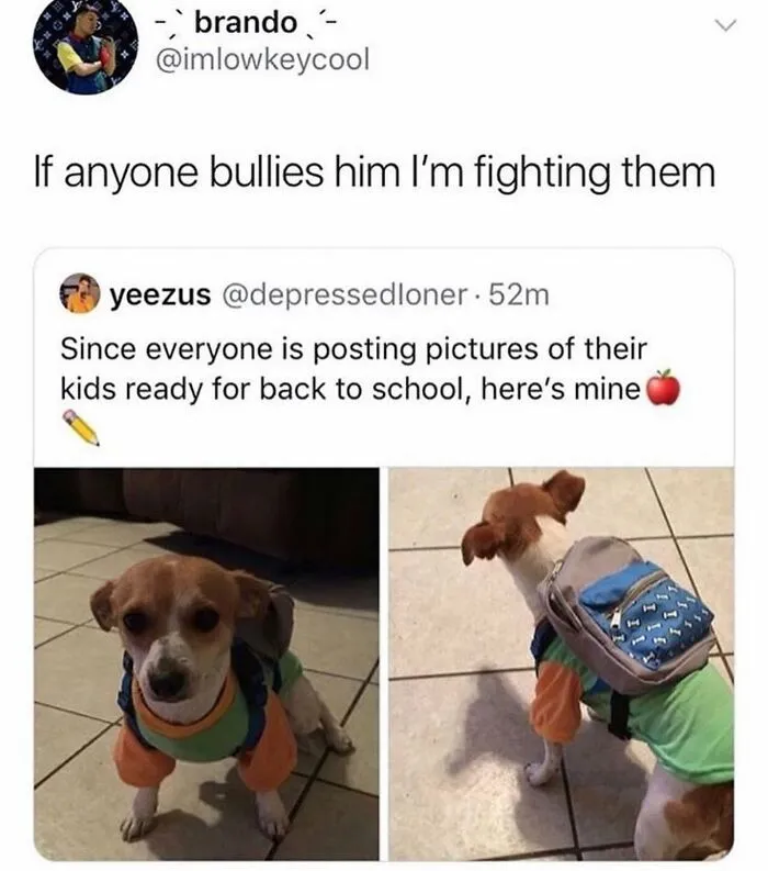 38 Hilarious Dog Memes Shared By This Page Celebrating Everything That Makes Dogs So Lovable