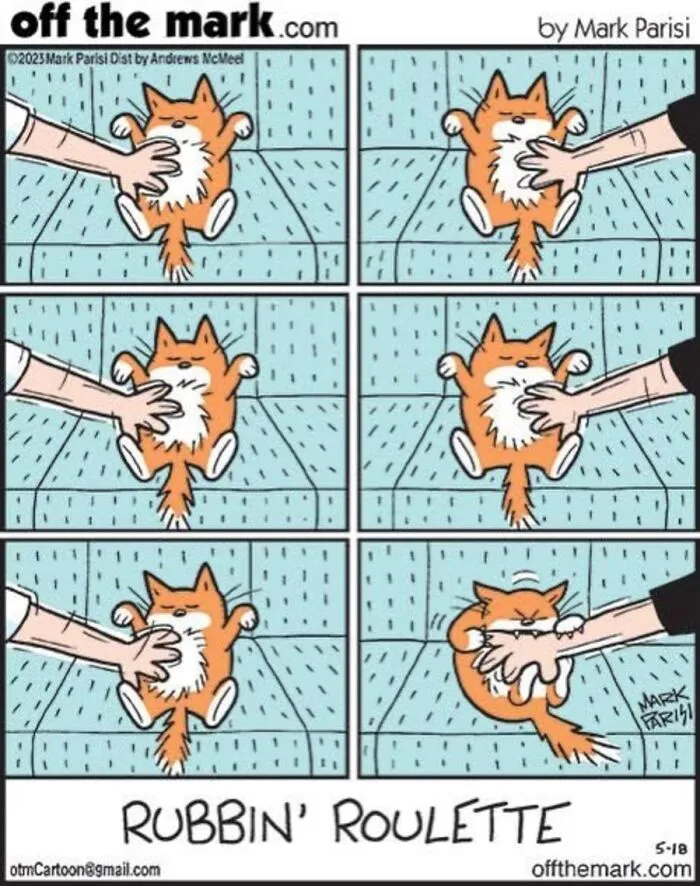 36 New Comics That Capture The Odd Little Habits Every Cat Owner Knows