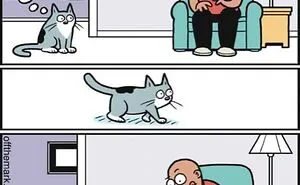 36 New Comics That Capture The Odd Little Habits Every Cat Owner Knows
