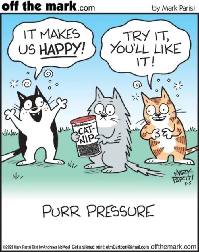 36 New Comics That Capture The Odd Little Habits Every Cat Owner Knows