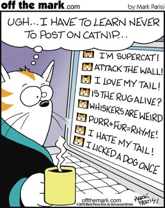 36 New Comics That Capture The Odd Little Habits Every Cat Owner Knows
