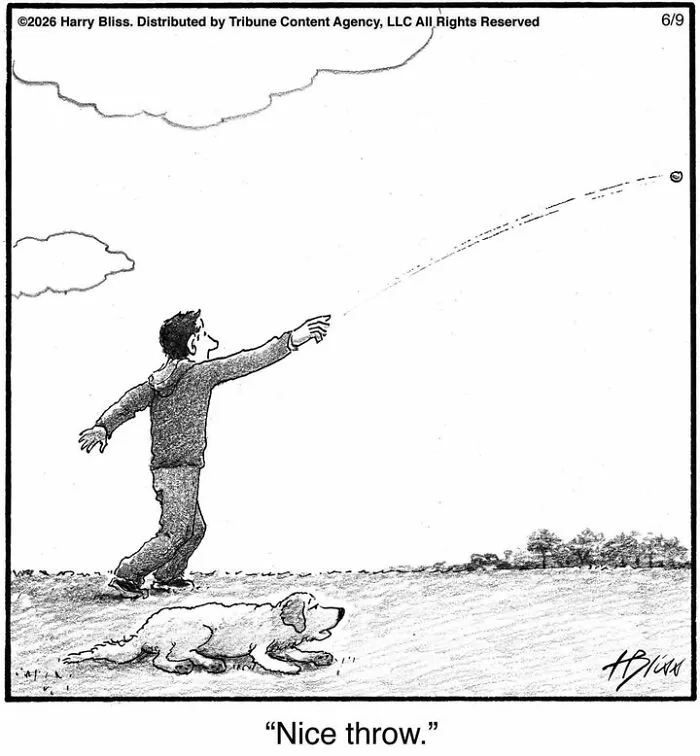 33 Humorous One-Panel Dog Comics By The New Yorker Magazine Cartoonist Harry Bliss (New Comics)