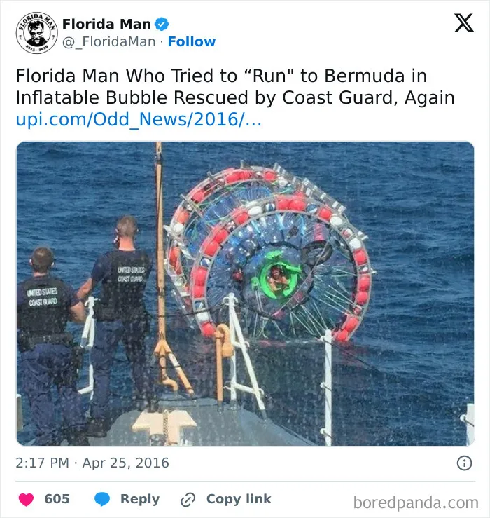 73 Florida Pics That Make Common Sense Feel Optional