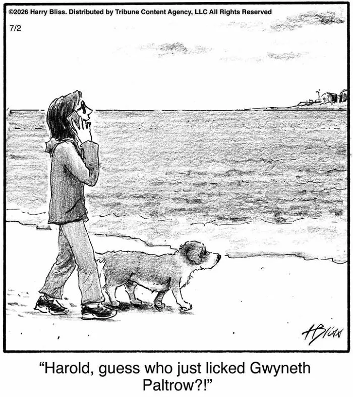 33 Humorous One-Panel Dog Comics By The New Yorker Magazine Cartoonist Harry Bliss (New Comics)