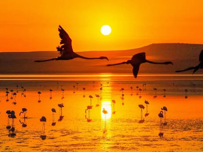 This Photographer Captures People, Animals, And Places In Stunning Light And Unique Angles (49 Pics)