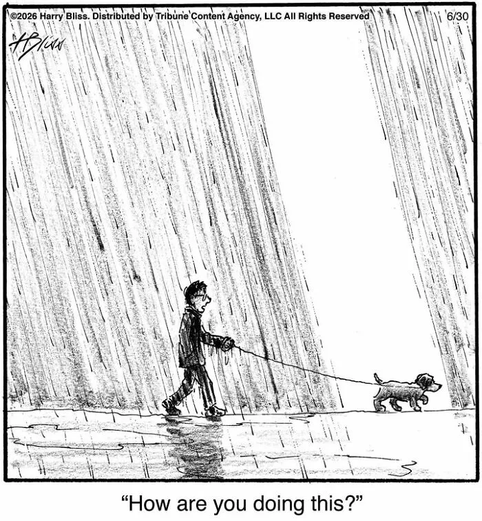 33 Humorous One-Panel Dog Comics By The New Yorker Magazine Cartoonist Harry Bliss (New Comics)