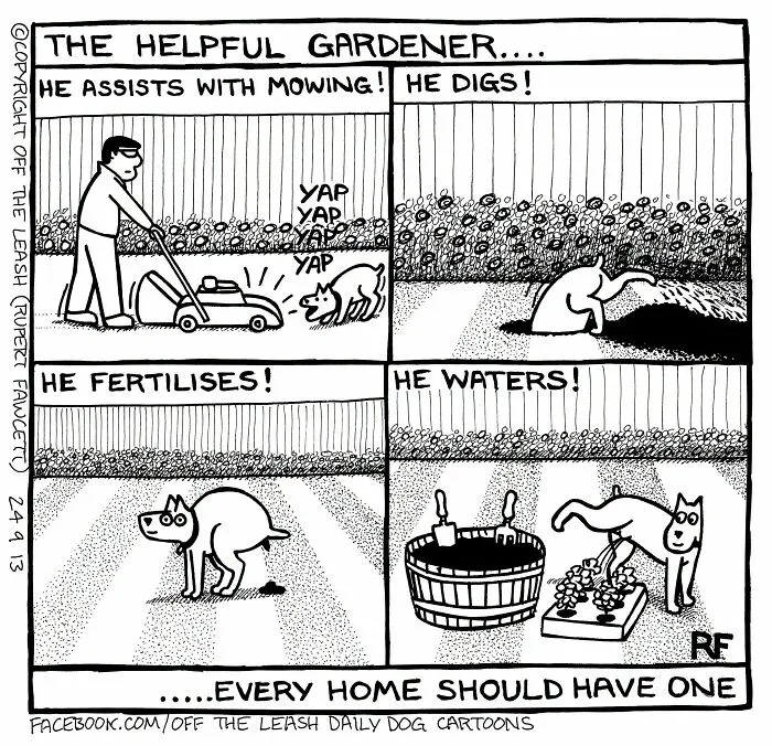 If You’re A Dog Owner, These 25 New “Off The Leash” Cartoons Might Totally Hit Home