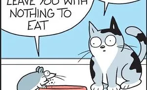 36 New Comics That Capture The Odd Little Habits Every Cat Owner Knows