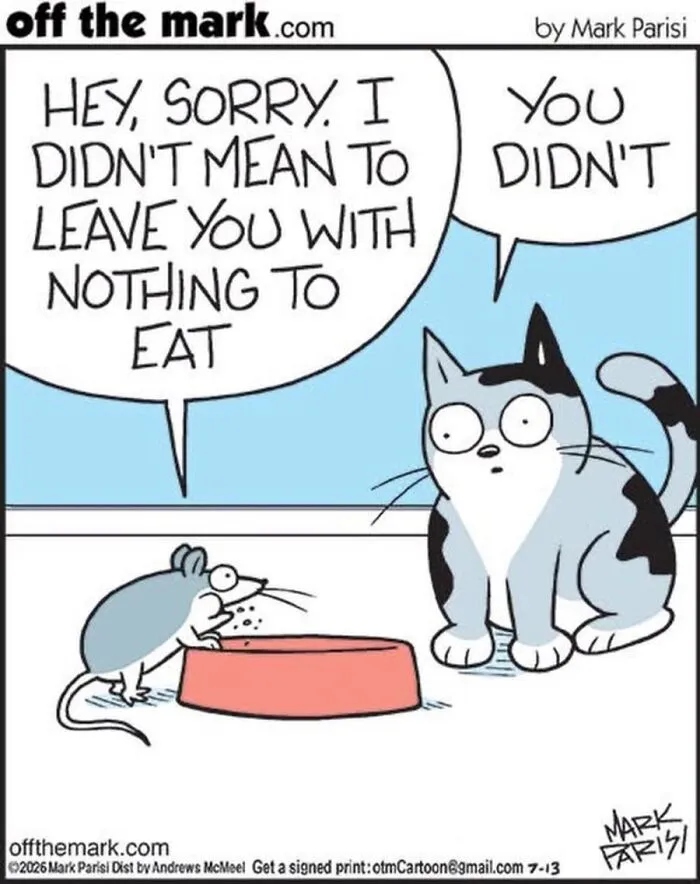 36 New Comics That Capture The Odd Little Habits Every Cat Owner Knows