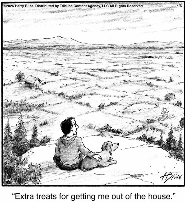 33 Humorous One-Panel Dog Comics By The New Yorker Magazine Cartoonist Harry Bliss (New Comics)