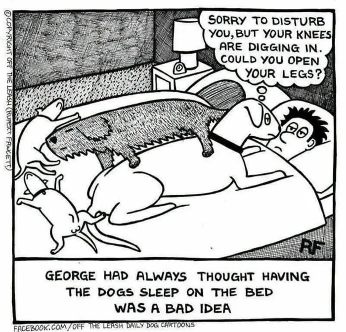 If You’re A Dog Owner, These 25 New “Off The Leash” Cartoons Might Totally Hit Home