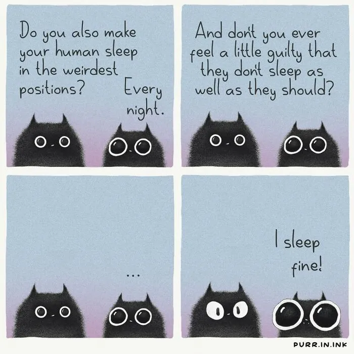 41 New Cat Illustrations By Luis Coelho That Are Cute, Clever, And Uplifting