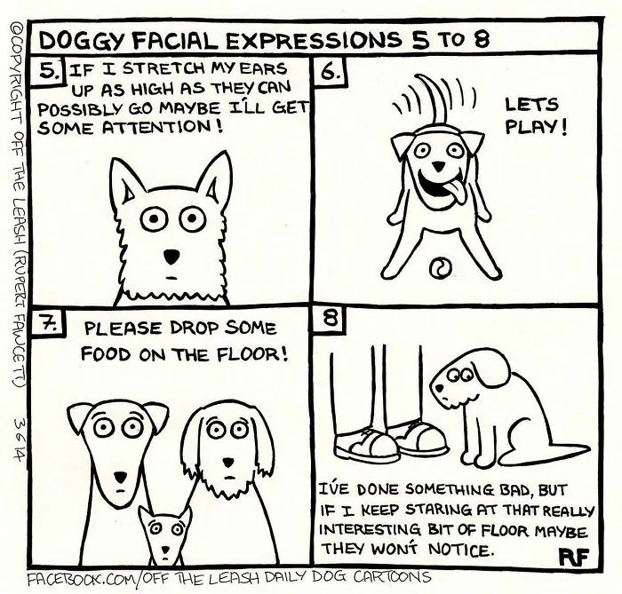 If You’re A Dog Owner, These 25 New “Off The Leash” Cartoons Might Totally Hit Home