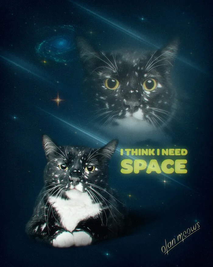 These Artists’ 49 Pet Portraits Capture Each Animal’s Personality In Peak ’80s Style