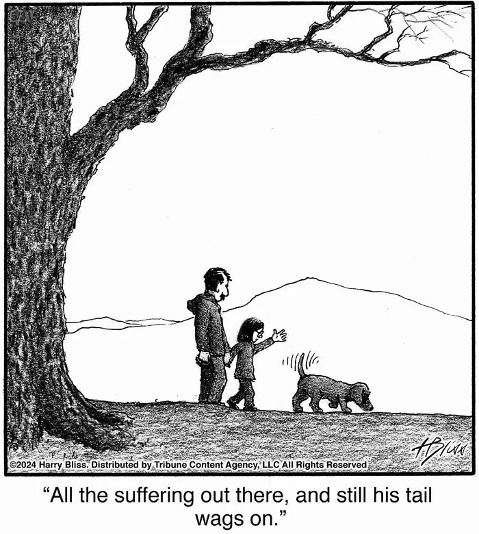 33 Humorous One-Panel Dog Comics By The New Yorker Magazine Cartoonist Harry Bliss (New Comics)