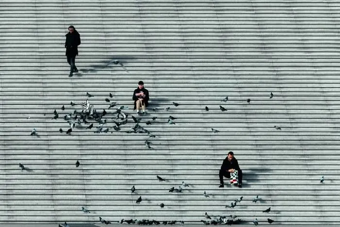 Murat Bakmaz captures the beauty of everyday life, people and pigeons on a striped stairway.
