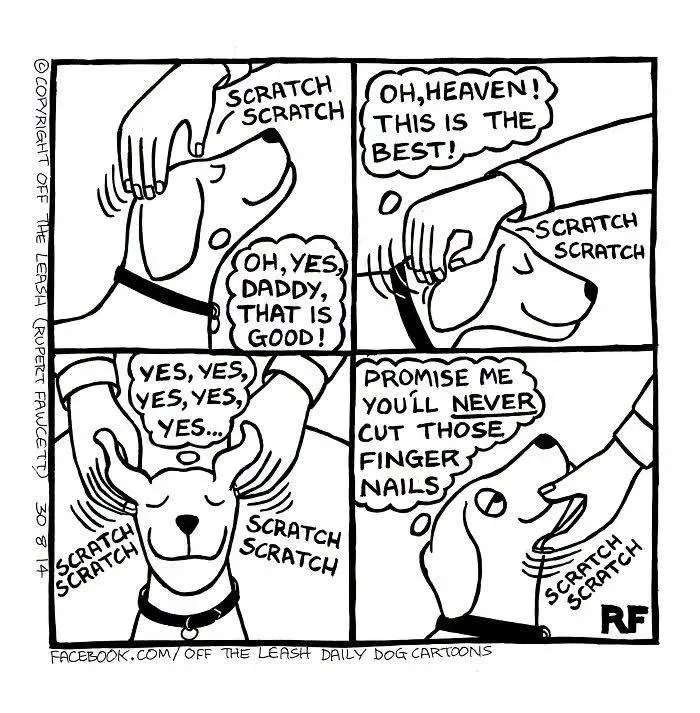 If You’re A Dog Owner, These 25 New “Off The Leash” Cartoons Might Totally Hit Home