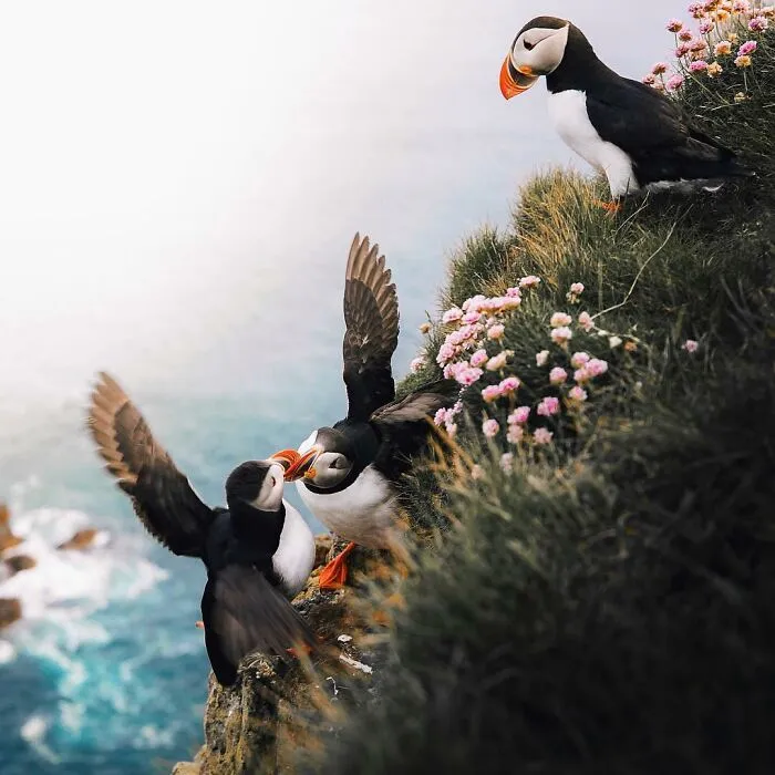 106 Times Nature Decided To Show Off And People Were Lucky Enough To Capture It