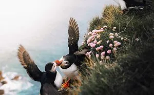 106 Times Nature Decided To Show Off And People Were Lucky Enough To Capture It