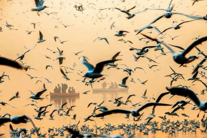 This Photographer Captures People, Animals, And Places In Stunning Light And Unique Angles (49 Pics)