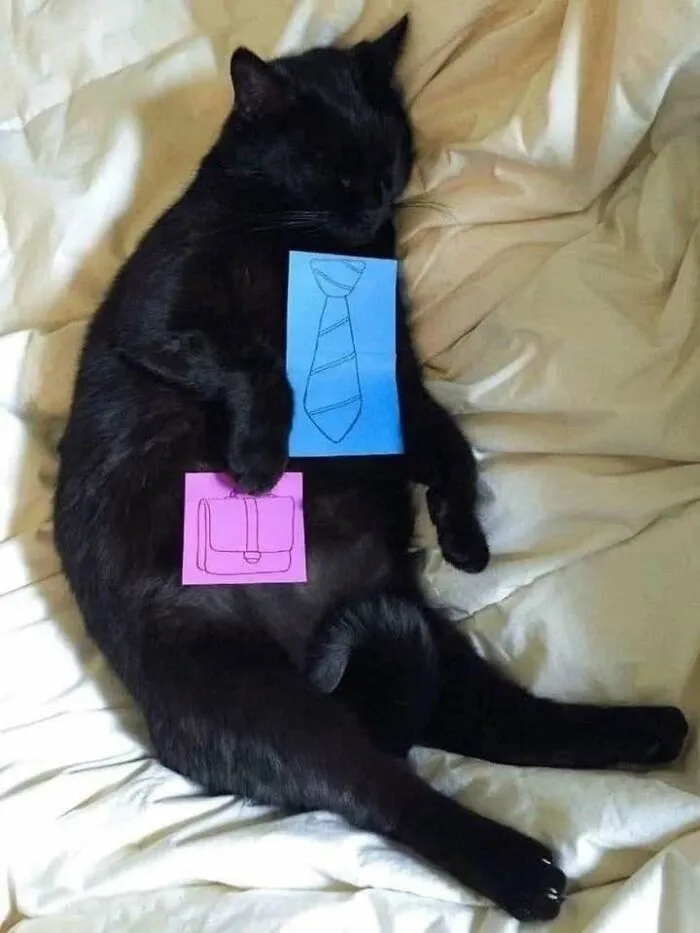This Page Shared 25 New Pics Of Animals Which Turned Ordinary Situations Into Pure Comedy