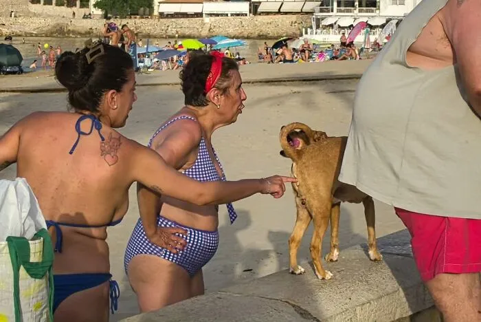 33 Divertidas fotos sacadas en el momento justo, mostrando el caos inesperado