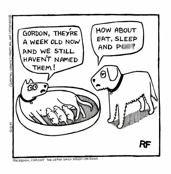 If You’re A Dog Owner, These 25 New “Off The Leash” Cartoons Might Totally Hit Home