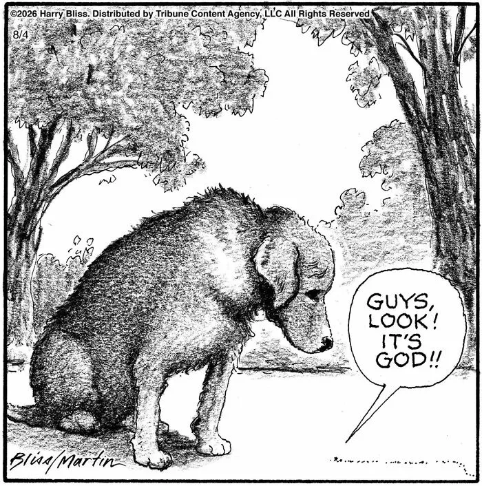 33 Humorous One-Panel Dog Comics By The New Yorker Magazine Cartoonist Harry Bliss (New Comics)