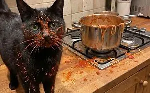 This Page Shared 25 New Pics Of Animals Which Turned Ordinary Situations Into Pure Comedy